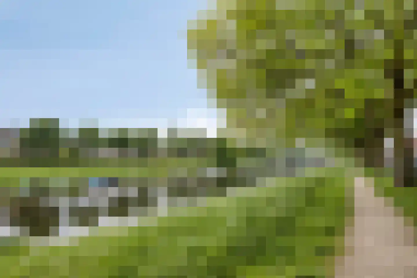 Palmboomstraat 109 's-Hertogenbosch thumbnail 32