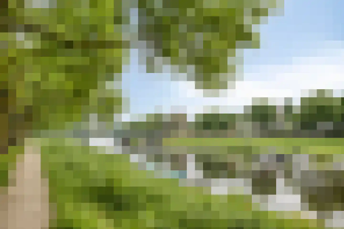 Palmboomstraat 109 's-Hertogenbosch thumbnail 33