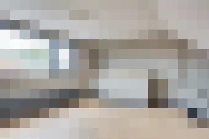 Palmboomstraat 13 's-Hertogenbosch thumbnail 17