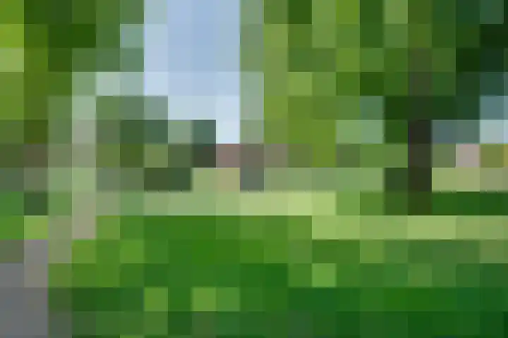 Palmboomstraat 13 's-Hertogenbosch thumbnail 18