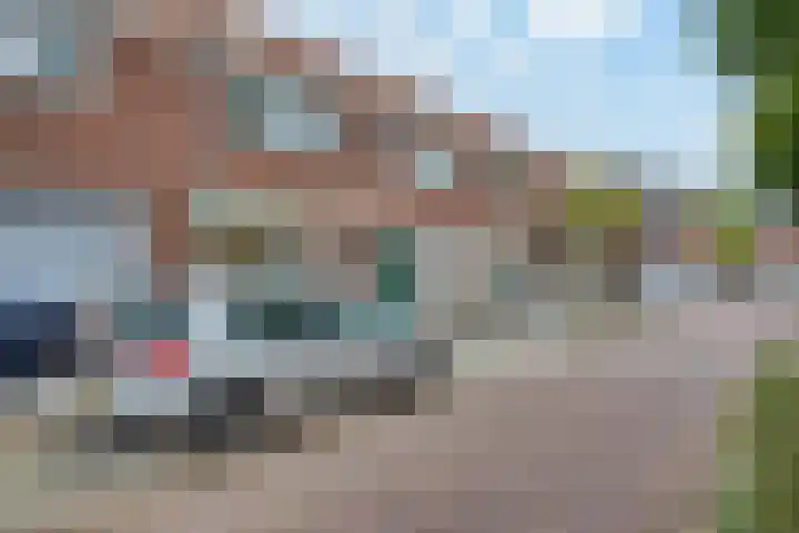 Palmboomstraat 13 's-Hertogenbosch thumbnail 19