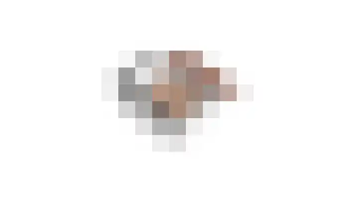 Palmboomstraat 13 's-Hertogenbosch thumbnail 23