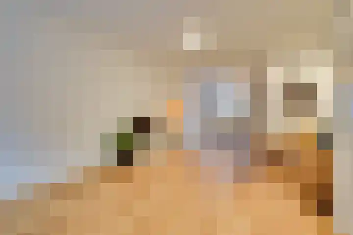 Palmboomstraat 13 's-Hertogenbosch thumbnail 4