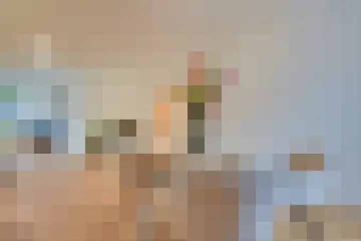 Palmboomstraat 13 's-Hertogenbosch thumbnail 6