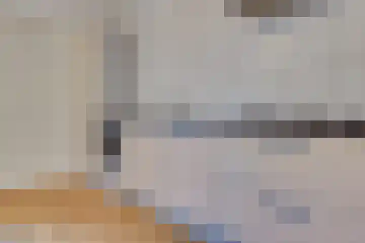 Palmboomstraat 13 's-Hertogenbosch thumbnail 8