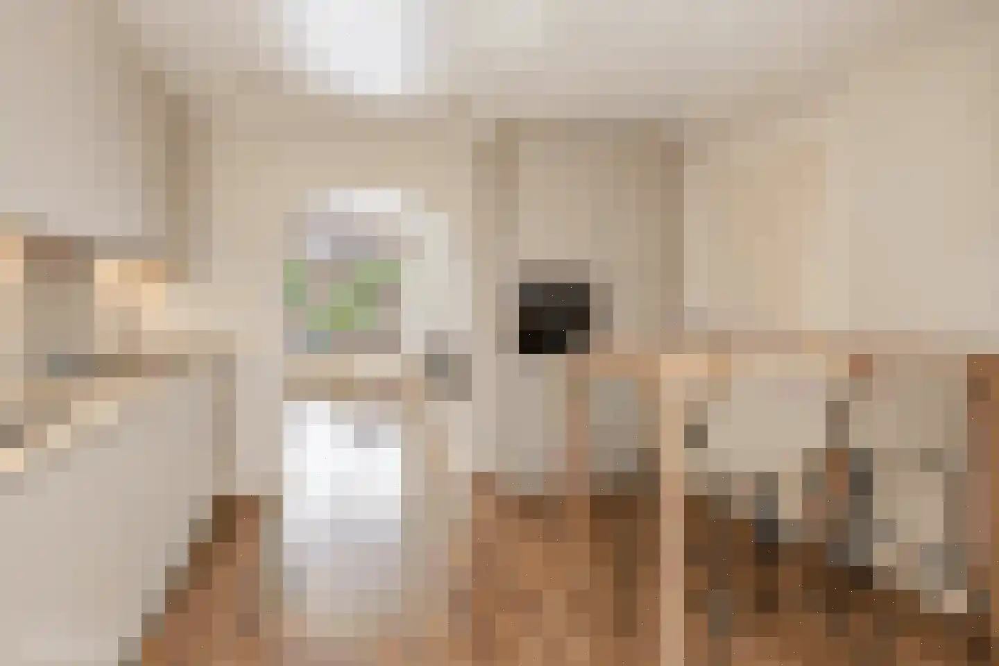Palmboomstraat 146 's-Hertogenbosch thumbnail 14