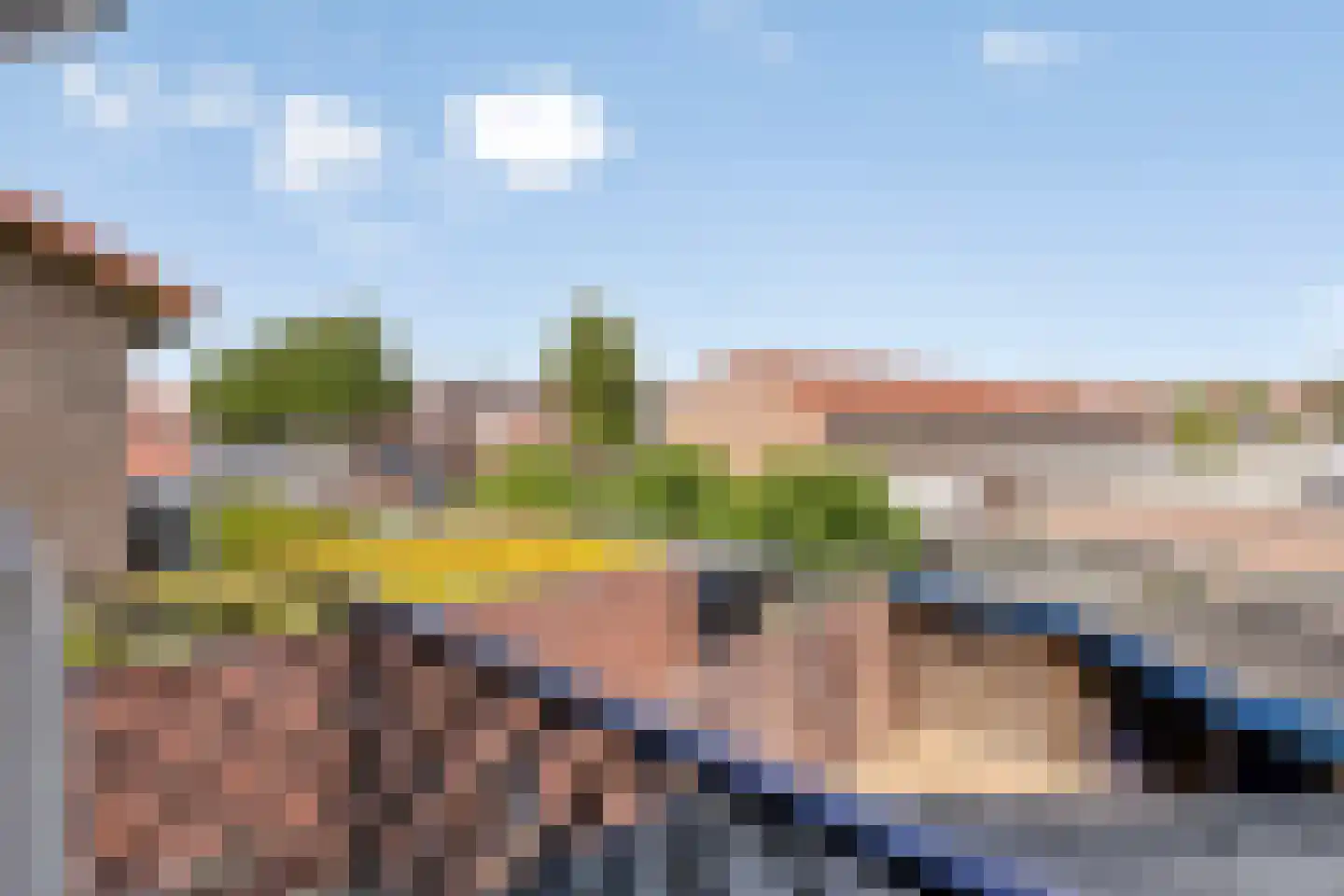 Palmboomstraat 146 's-Hertogenbosch thumbnail 16