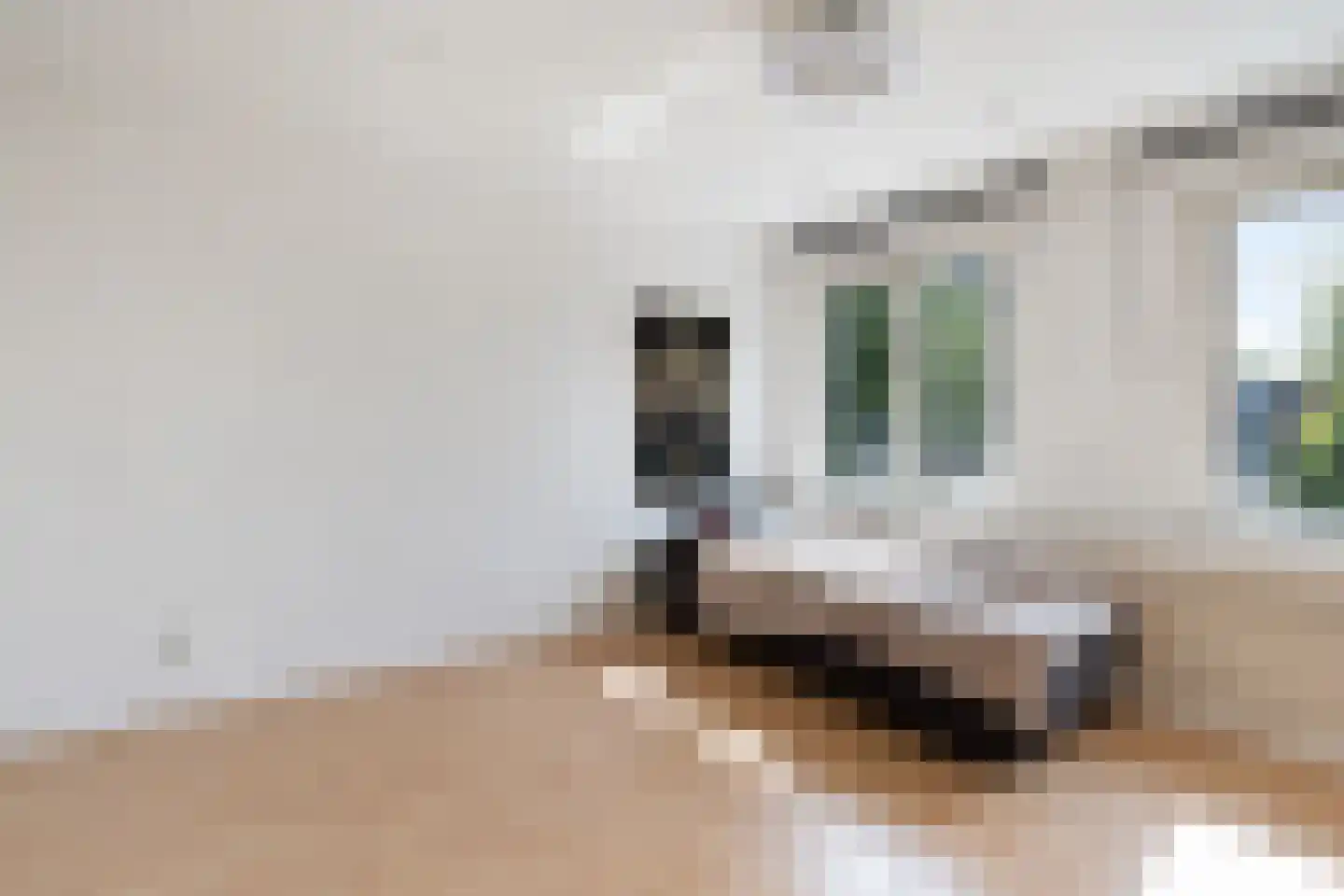 Palmboomstraat 146 's-Hertogenbosch thumbnail 17