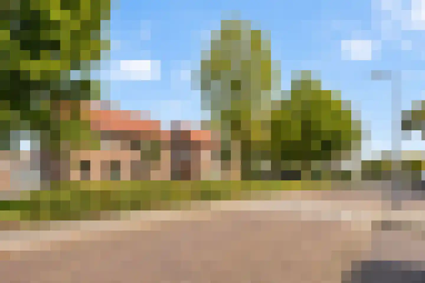 Palmboomstraat 146 's-Hertogenbosch thumbnail 28