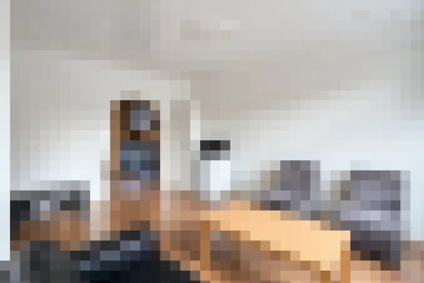 Palmboomstraat 146 's-Hertogenbosch thumbnail 5