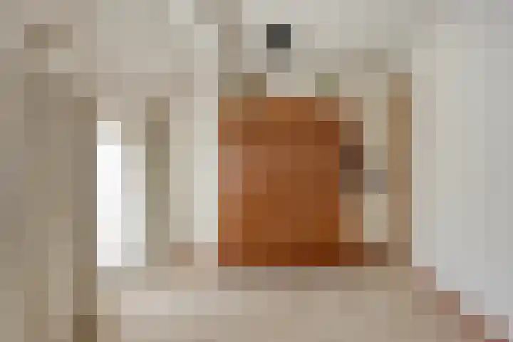 Palmboomstraat 17 's-Hertogenbosch thumbnail 16