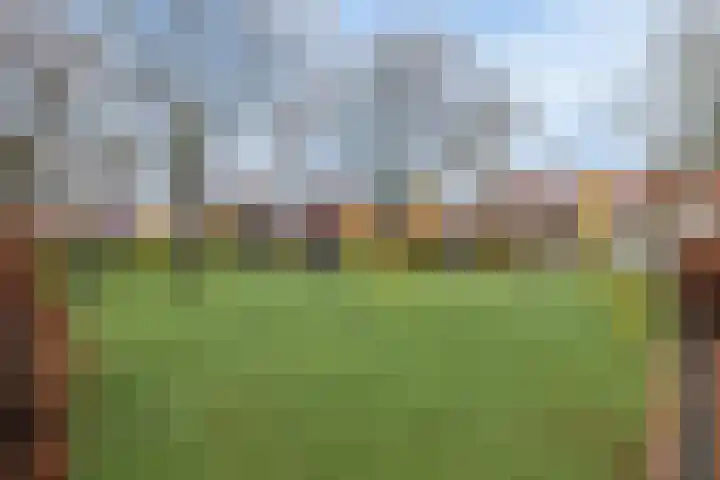 Palmboomstraat 17 's-Hertogenbosch thumbnail 23