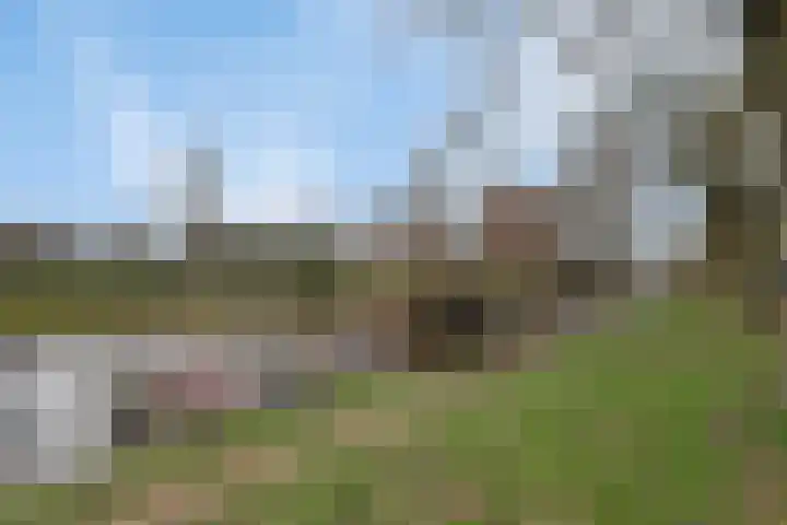 Palmboomstraat 17 's-Hertogenbosch thumbnail 25