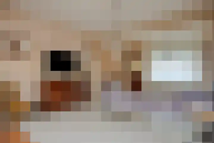 Palmboomstraat 17 's-Hertogenbosch thumbnail 6