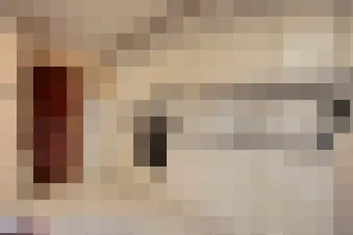 Palmboomstraat 17 's-Hertogenbosch thumbnail 7
