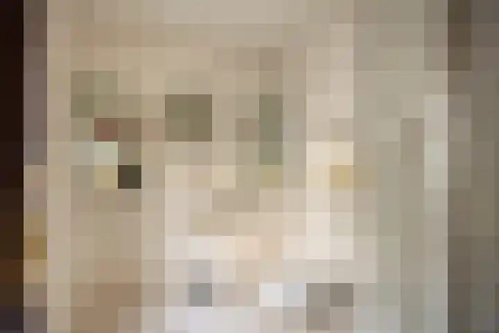 Palmboomstraat 17 's-Hertogenbosch thumbnail 9