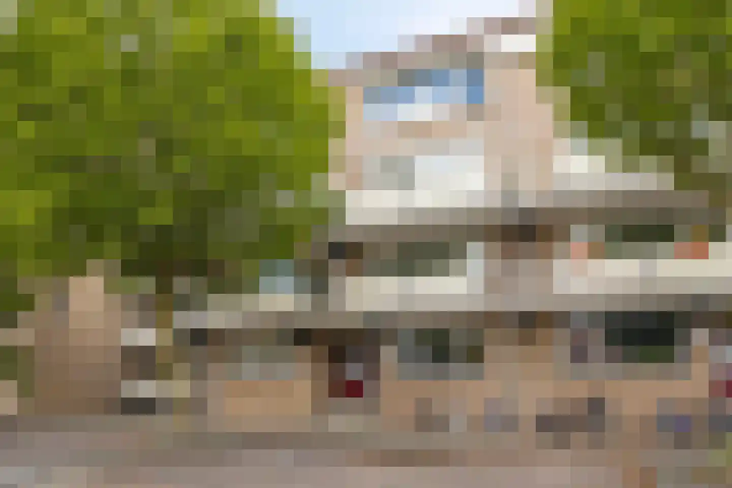 Palmboomstraat 36 's-Hertogenbosch