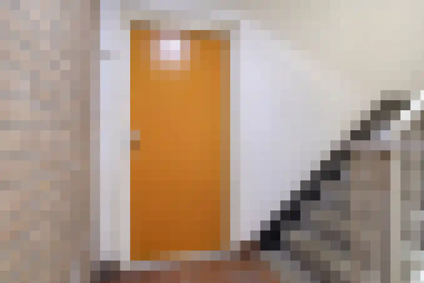 Palmboomstraat 36 's-Hertogenbosch thumbnail 12