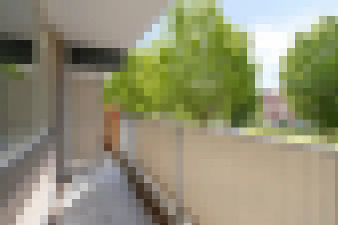 Palmboomstraat 36 's-Hertogenbosch thumbnail 17