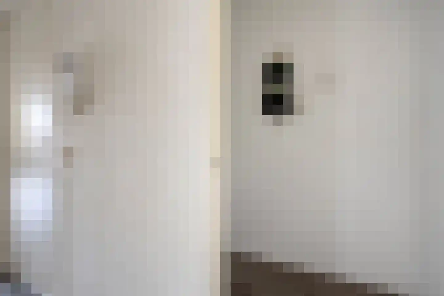 Palmboomstraat 36 's-Hertogenbosch thumbnail 22