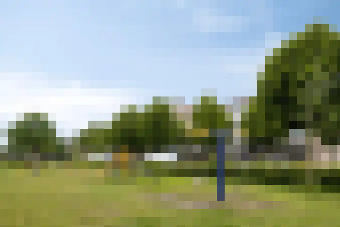 Palmboomstraat 36 's-Hertogenbosch thumbnail 24