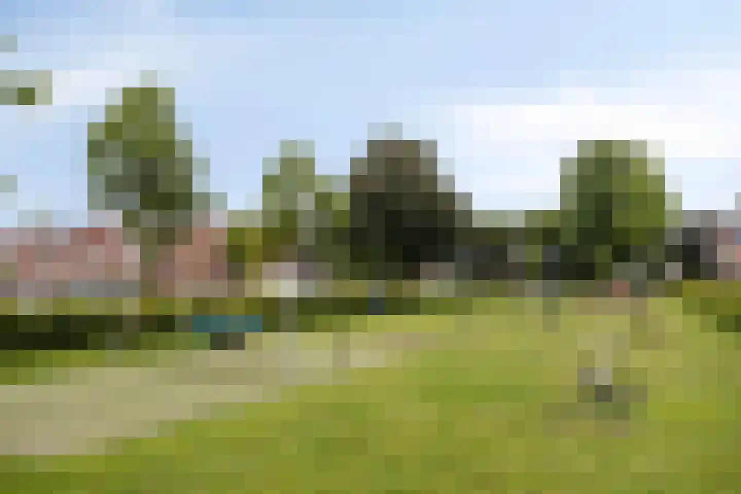 Palmboomstraat 36 's-Hertogenbosch thumbnail 25