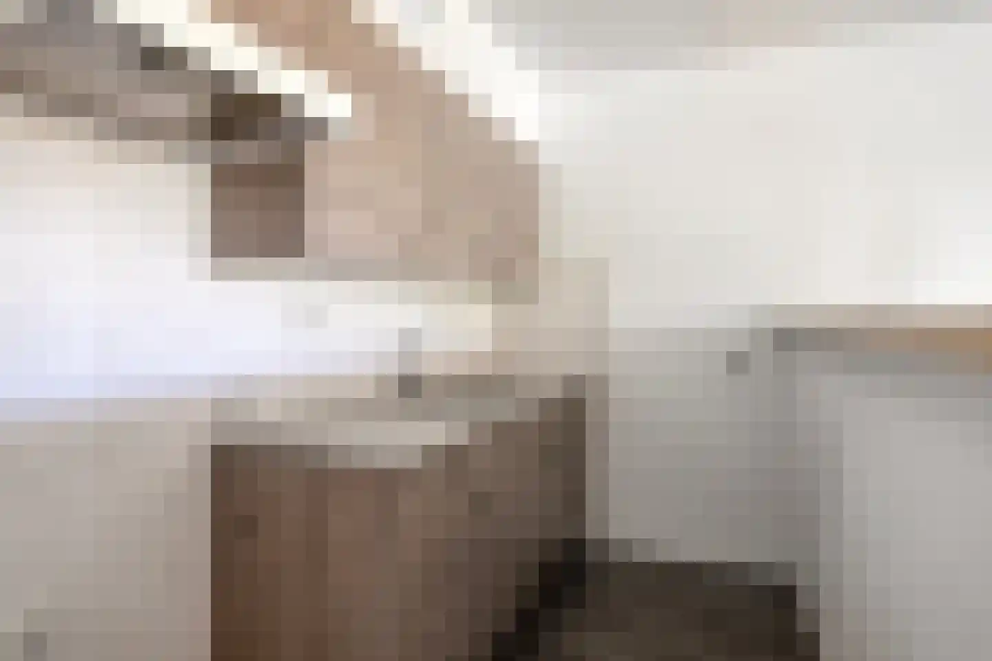 Palmboomstraat 36 's-Hertogenbosch thumbnail 4