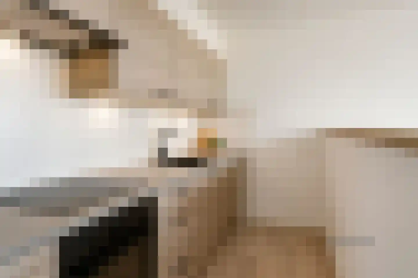 Palmboomstraat 36 's-Hertogenbosch thumbnail 5