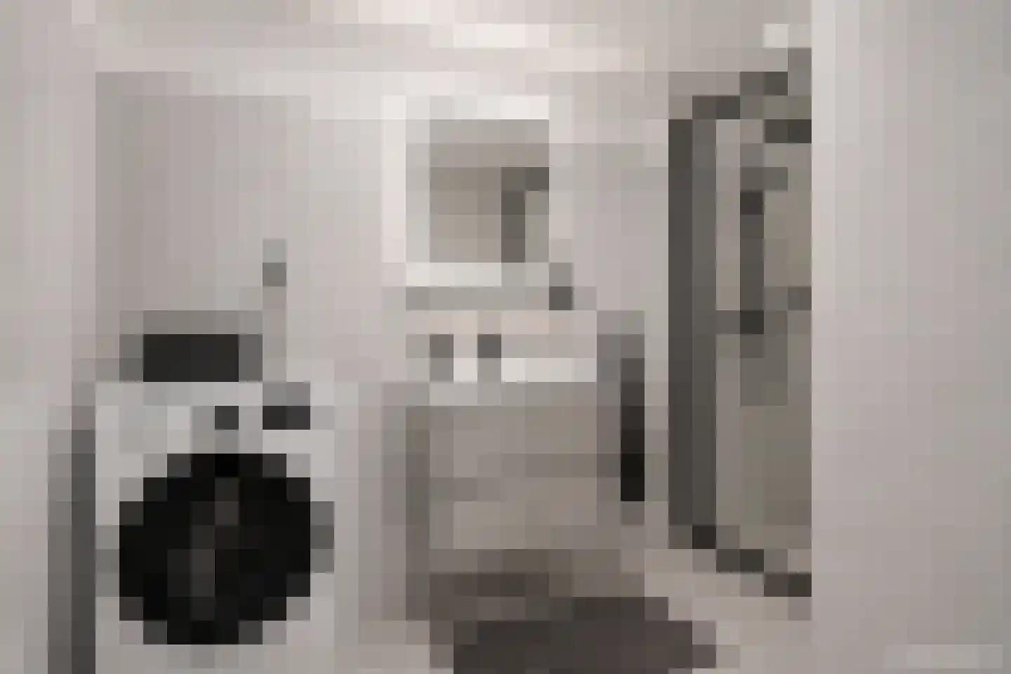 Palmboomstraat 36 's-Hertogenbosch thumbnail 7
