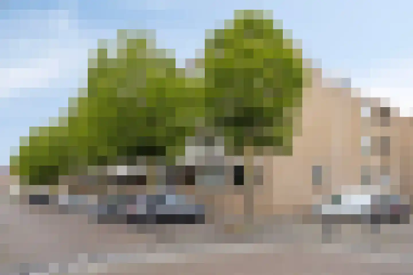 Palmboomstraat 36 's-Hertogenbosch thumbnail 8