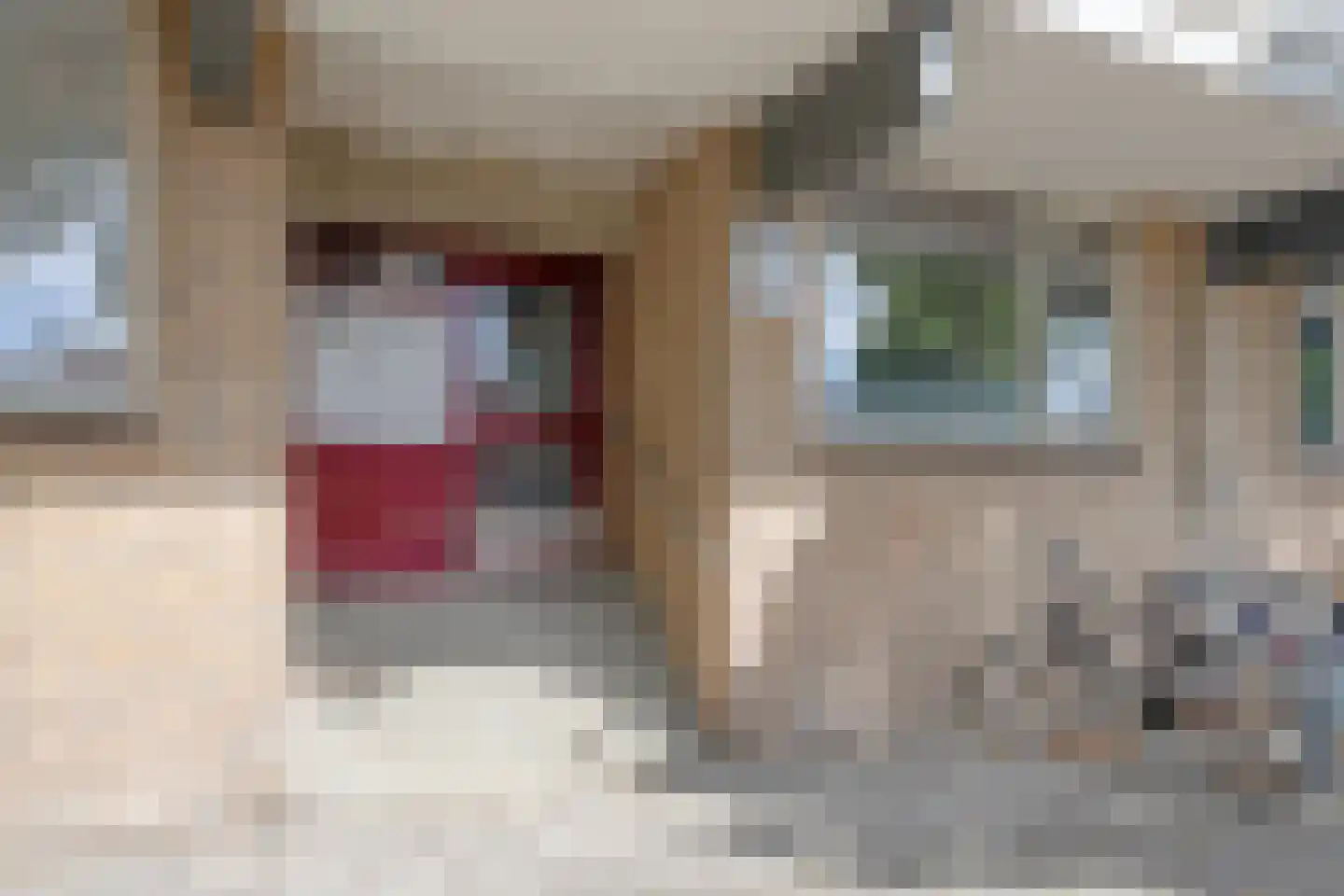 Palmboomstraat 36 's-Hertogenbosch thumbnail 9