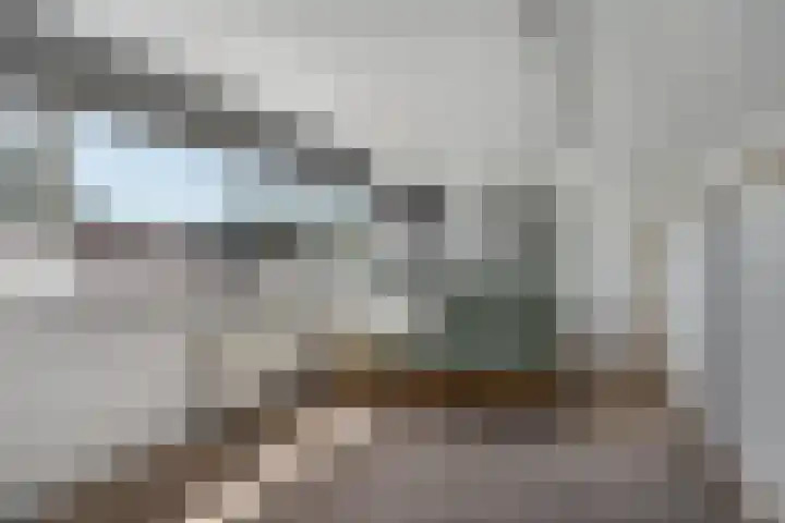 Palmboomstraat 53 's-Hertogenbosch thumbnail 17