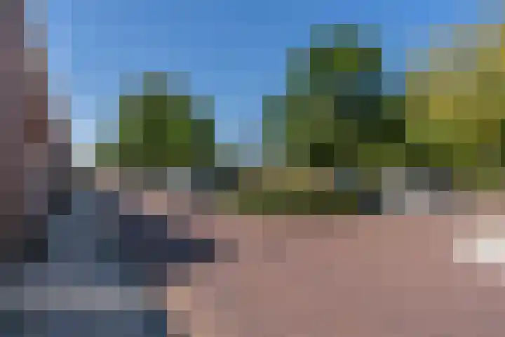 Palmboomstraat 53 's-Hertogenbosch thumbnail 19