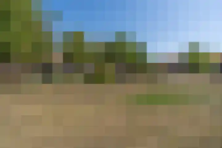 Palmboomstraat 53 's-Hertogenbosch thumbnail 21