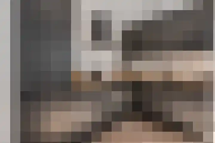 Palmboomstraat 53 's-Hertogenbosch thumbnail 8