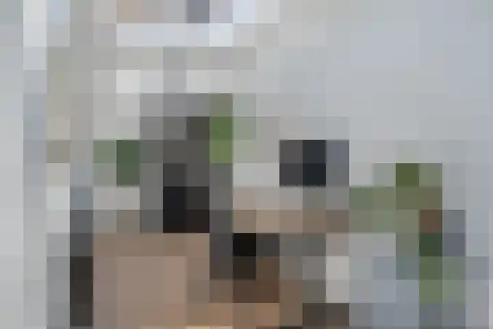 Palmboomstraat 53 's-Hertogenbosch thumbnail 9