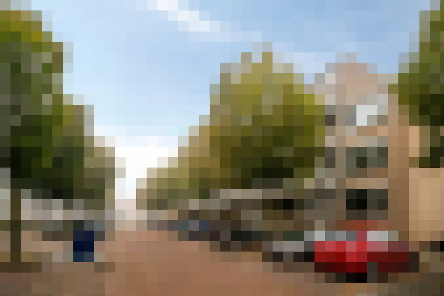 Palmboomstraat 72 in 's-Hertogenbosch