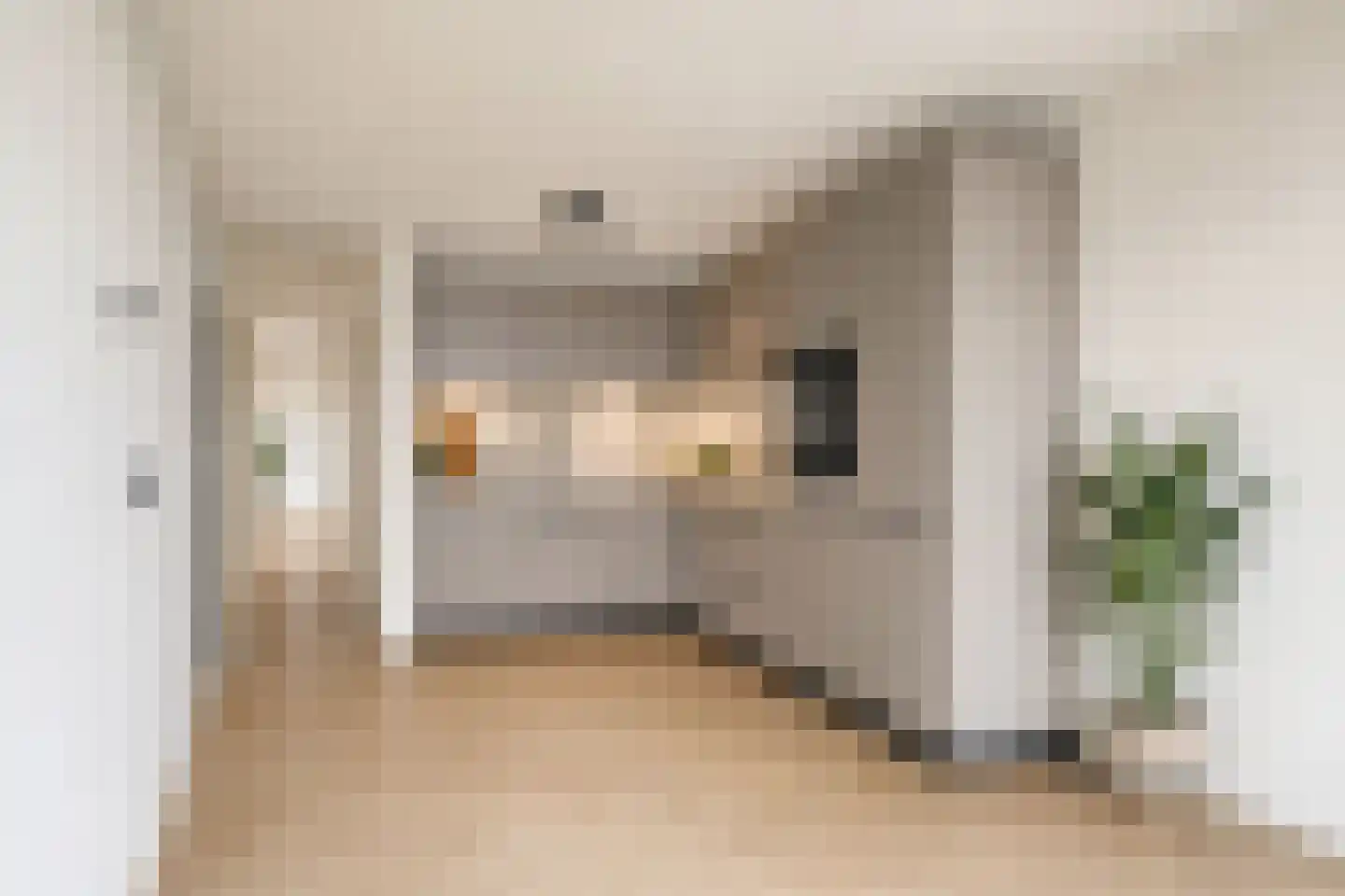 Palmboomstraat 72 's-Hertogenbosch thumbnail 17