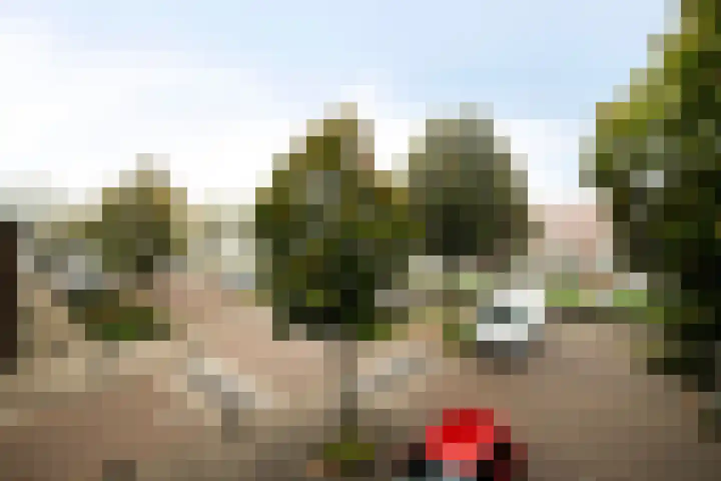 Palmboomstraat 72 's-Hertogenbosch thumbnail 19