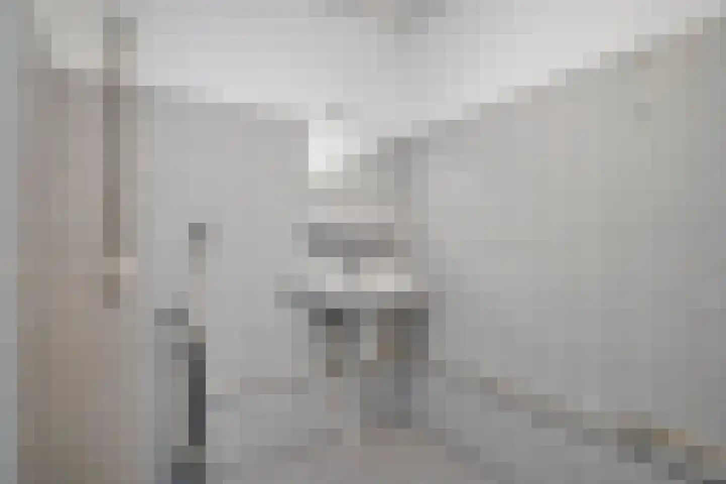 Palmboomstraat 72 's-Hertogenbosch thumbnail 27