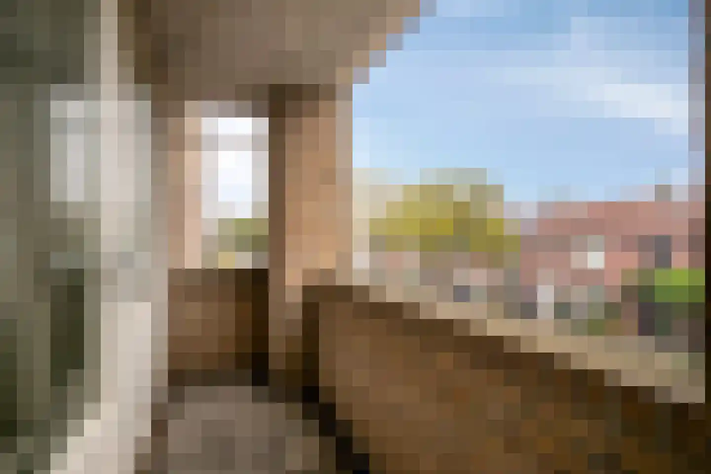 Palmboomstraat 72 's-Hertogenbosch thumbnail 30