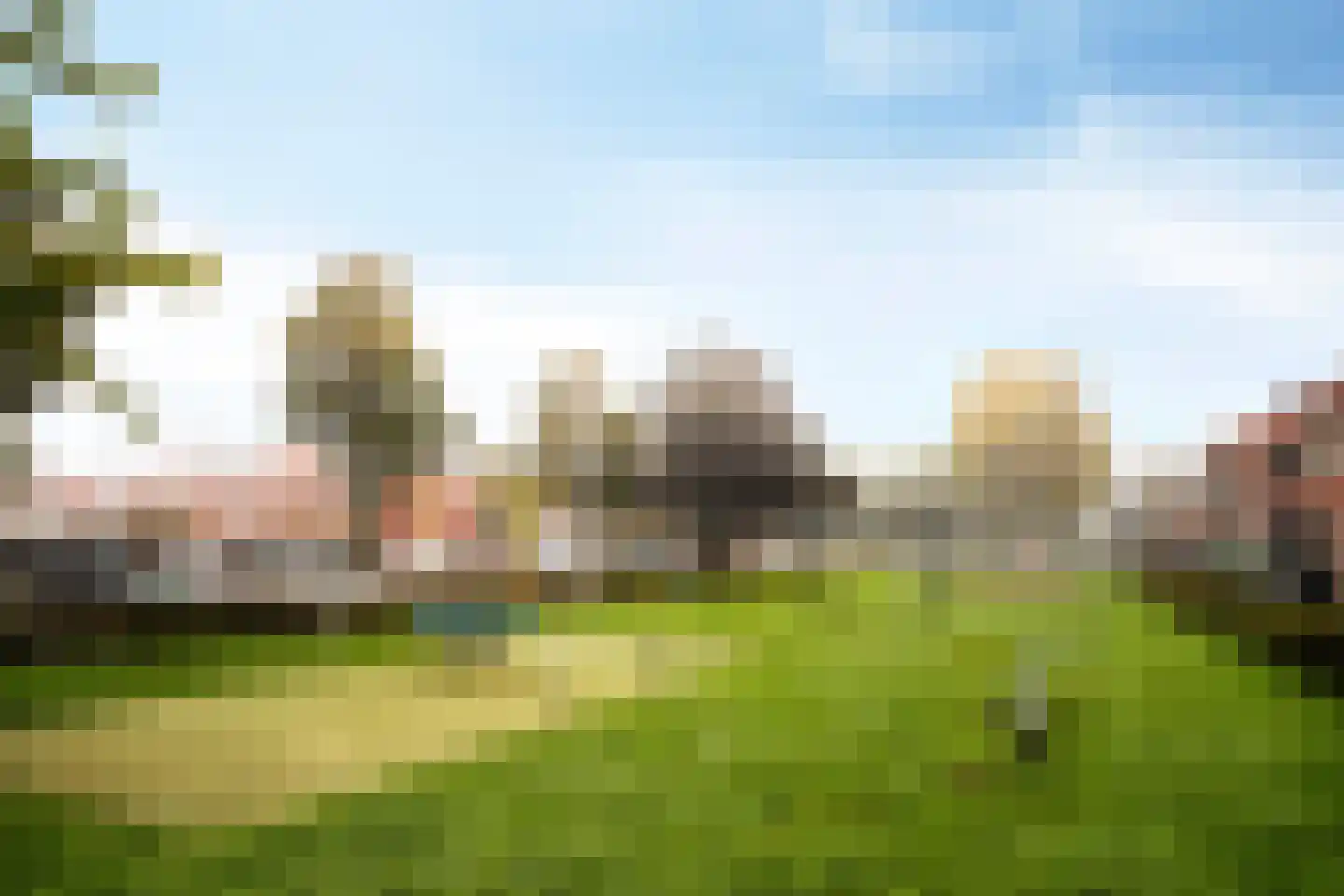 Palmboomstraat 72 's-Hertogenbosch thumbnail 33