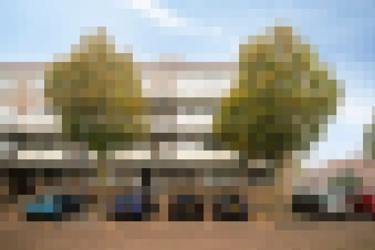 Palmboomstraat 72 's-Hertogenbosch thumbnail 7