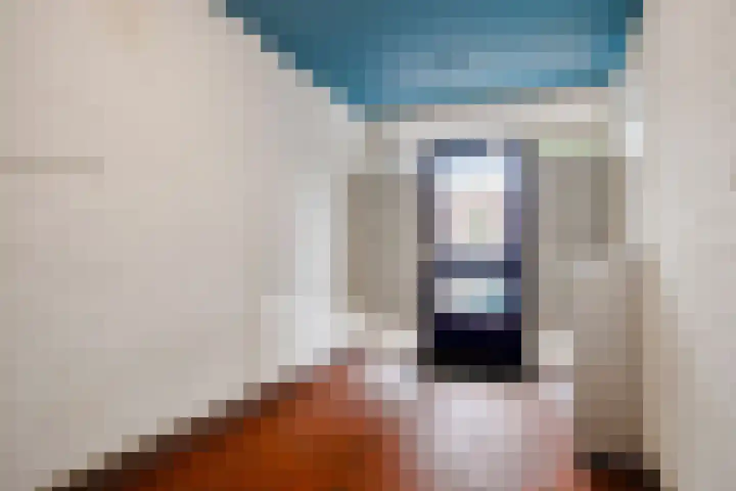 Palmboomstraat 72 's-Hertogenbosch thumbnail 8