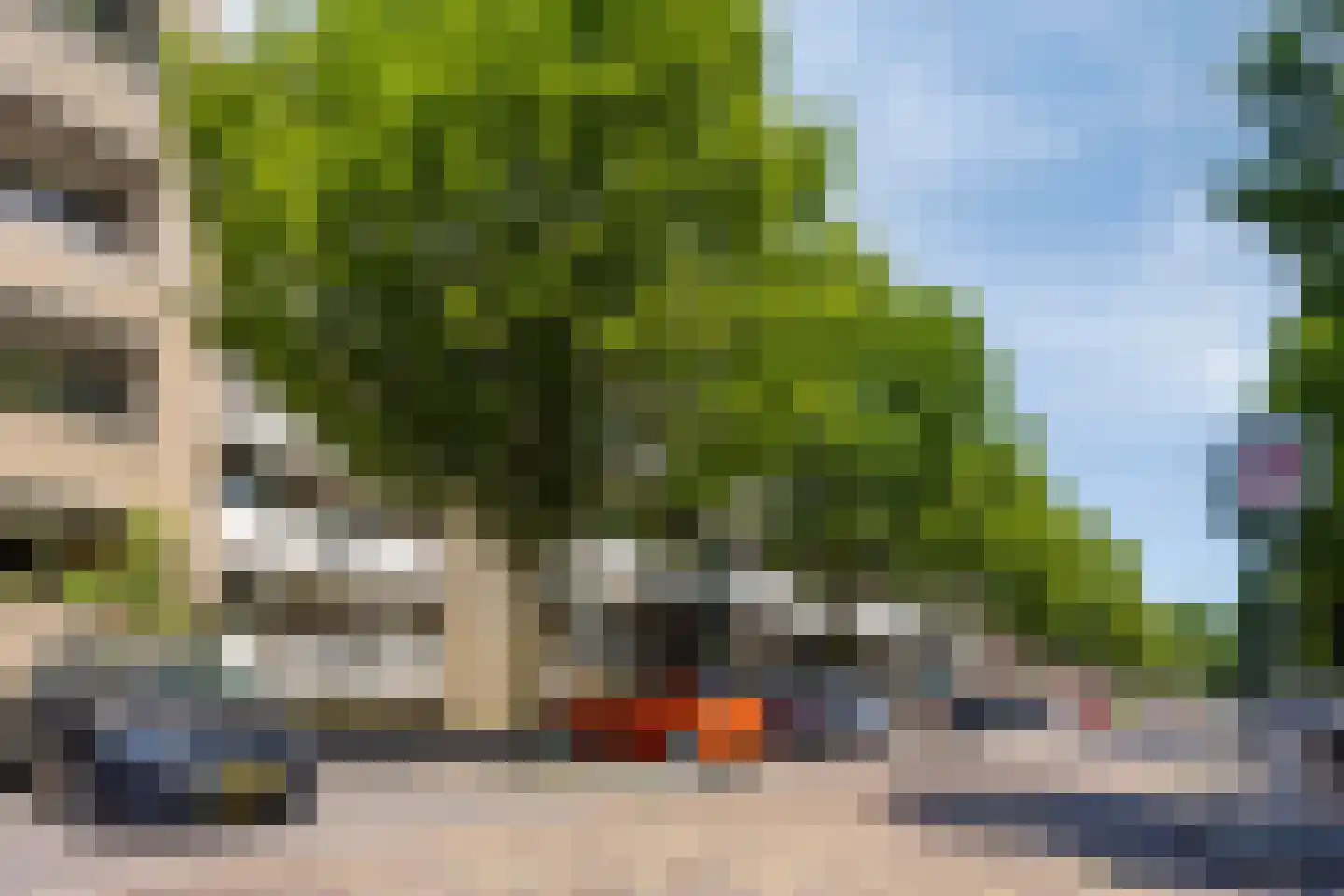 Palmboomstraat 84 's-Hertogenbosch