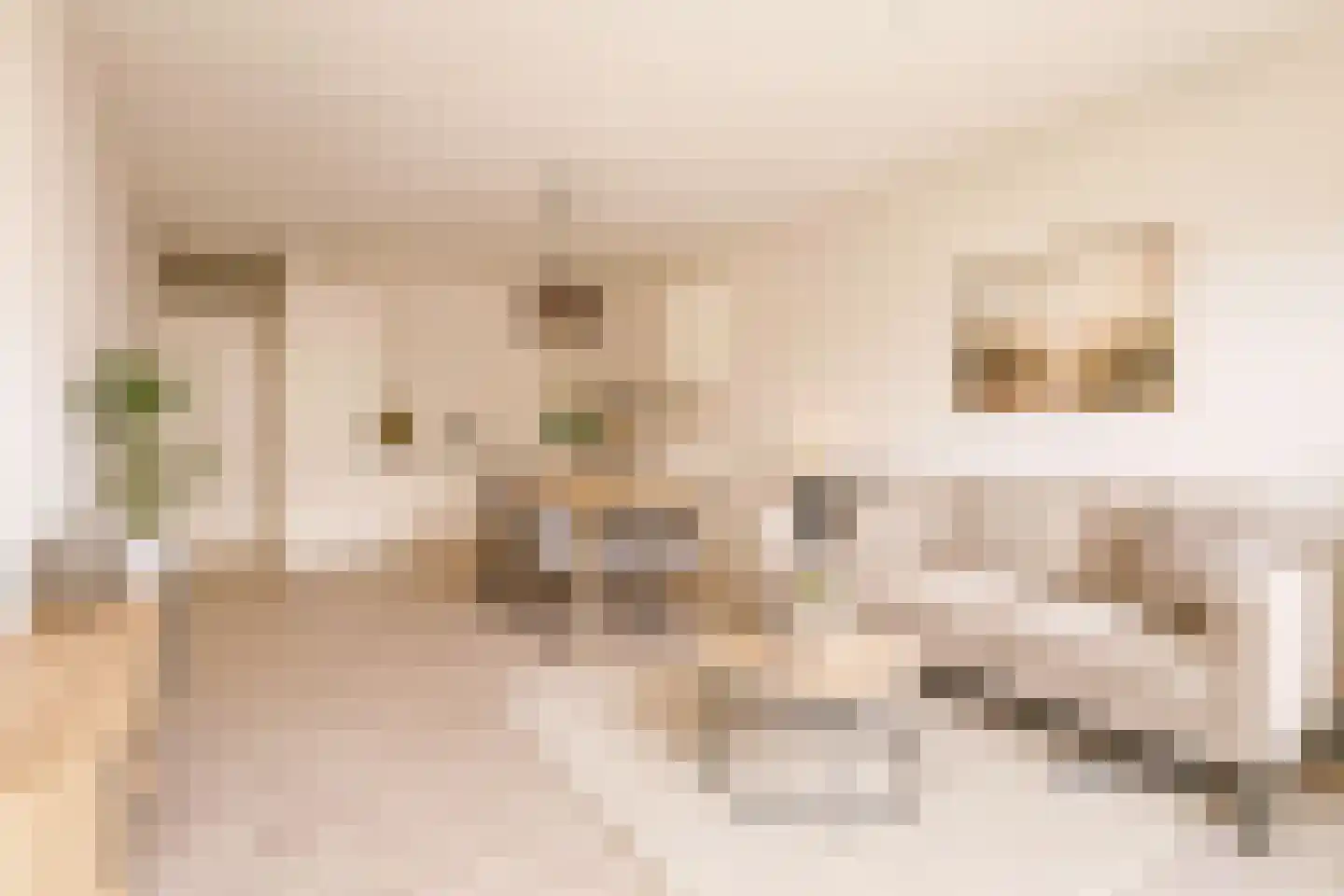 Palmboomstraat 84 's-Hertogenbosch thumbnail 10