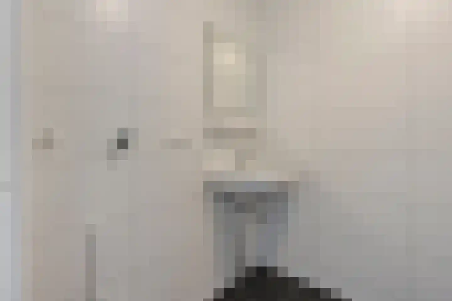 Palmboomstraat 84 's-Hertogenbosch thumbnail 20