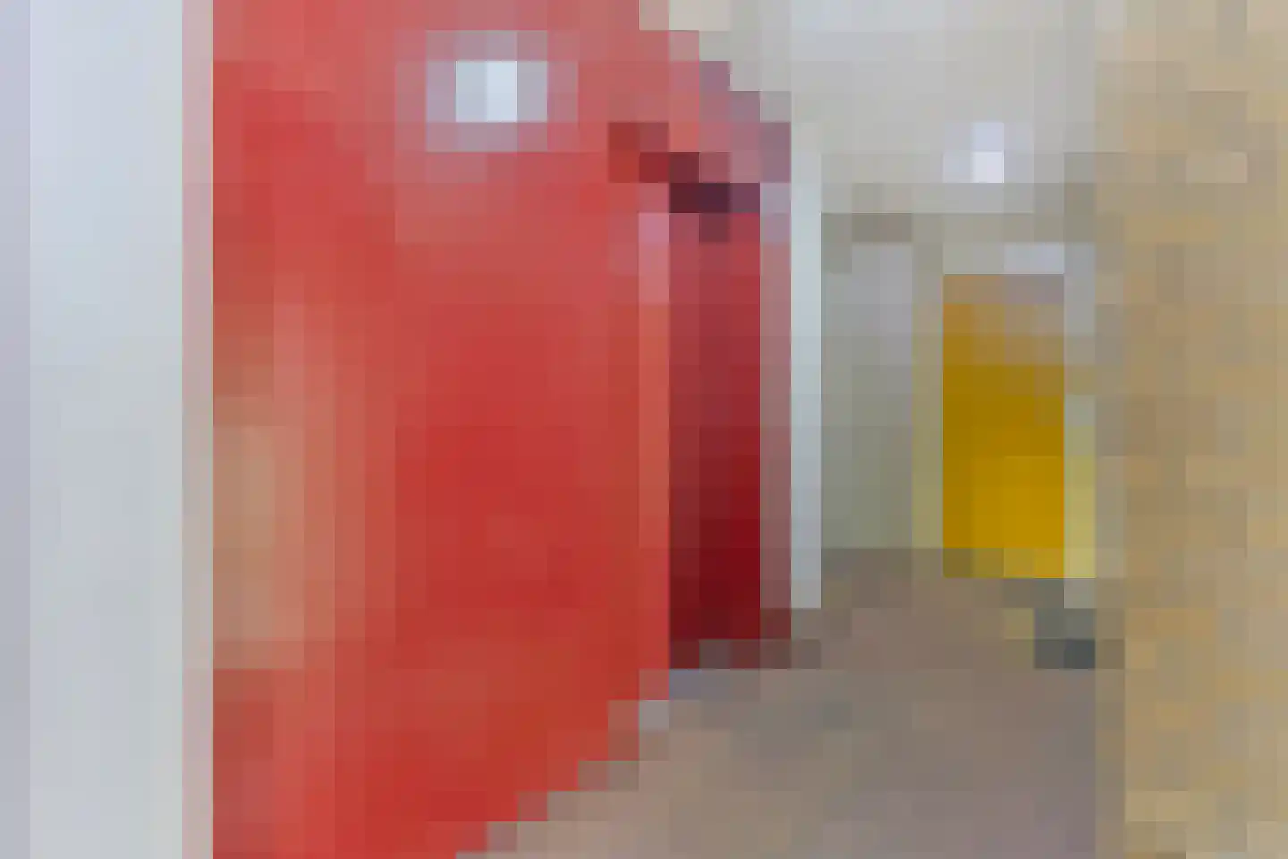 Palmboomstraat 84 's-Hertogenbosch thumbnail 4
