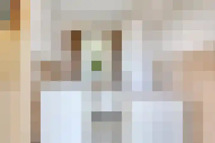 Palmbosstraat 12 Klein Zundert thumbnail 18