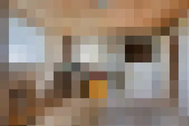 Palmbosstraat 12 Klein Zundert thumbnail 33